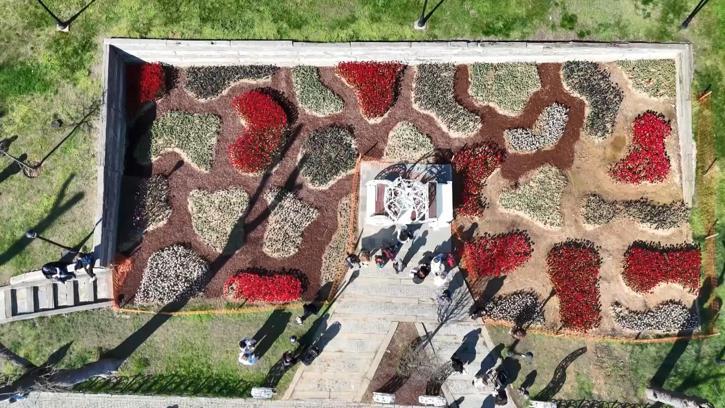 İstanbul'da lale zamanı; tarihi park ve korulara 3 milyon 580 bin lale dikildi