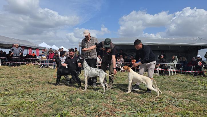 Kozan’da Avcı, Köpeği ve Irk Standartları Yarışması