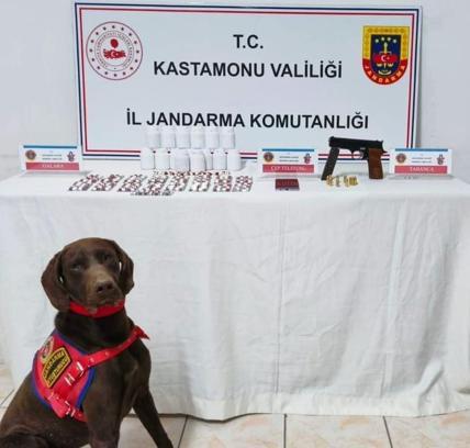 Kastamonu'da uyuşturucu operasyonları: 1 tutuklama