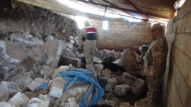 Kilis’te ahır çöktü; 40 koyun öldü