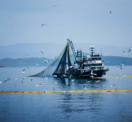 Denizlerde av yasağı 15 Nisan'da başlıyor