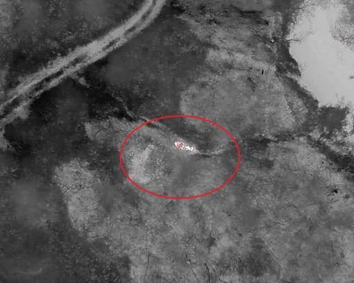 Kaybolan gebe inek, doğum yapmış halde AFAD ekiplerince bulundu