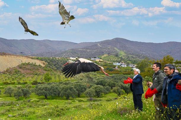 Hatay tedavi edilen 10 yabani kuş özgürlüğüne kavuştu