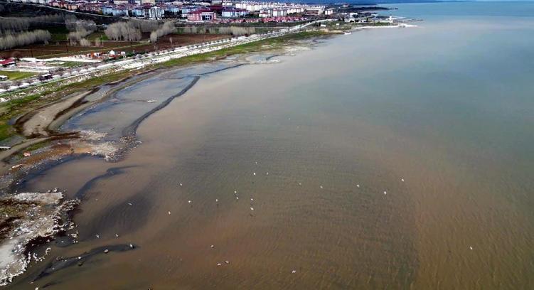 Van Gölü kıyılarında suyun rengi kahverengiye döndü