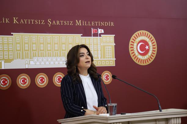 DEM Parti'li Koçyiğit: Sürecin geciktirilmesini doğru bulmuyoruz