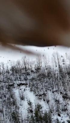 Kartal, dronu kaptı