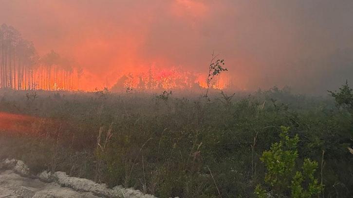 ABD'de orman yangınlarında 120'den fazla ev yandı