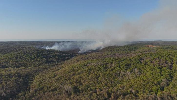 Beykoz'da ormanlık alanda yangın; alevler yeniden yükseldi