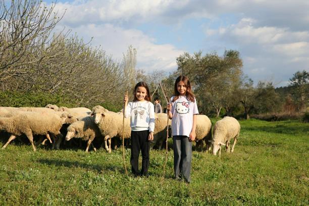 'Boğazın Minik Çobanları' geleceği şekillendiriyor