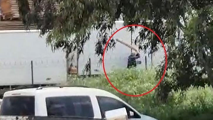 Tavuklarını yediği gerekçesiyle sokak köpeğini sopayla döven kişi gözaltında