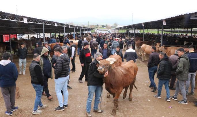 Sandıklı hayvan pazarında kurbanlık yoğunluğu