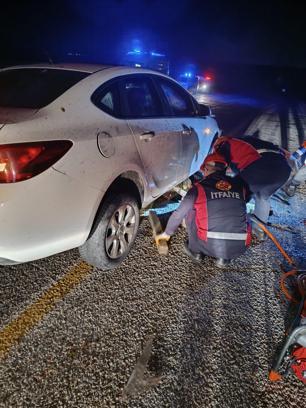 Sürüye çarpan otomobildeki 2 kişi yaralandı, 40 koyun öldü