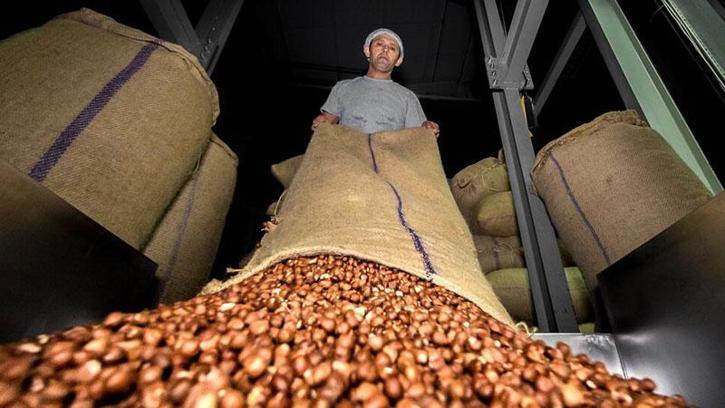 Doğu Karadeniz'den ilk 4 ayda 678 milyon dolarlık ihracat