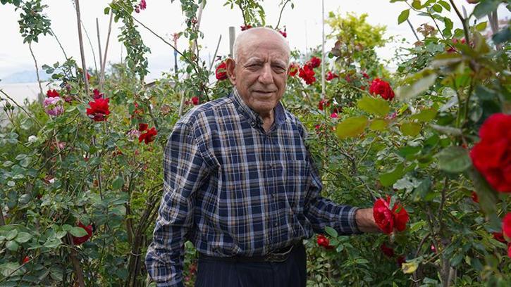 Hıdırellez öncesi gül satışı arttı