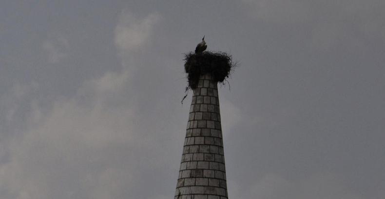 Leylek ‘Hitit’, bu yıl da mahalleye geldi