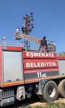 Tamir etmek için çıktığı elektrik direğinde akıma kapılıp mahsur kaldı