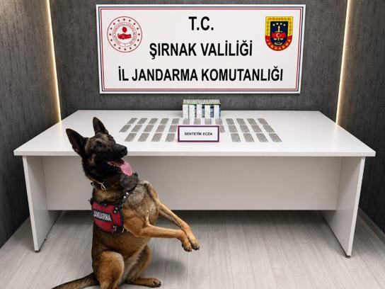 Şırnak’ta 1 haftada kaçakçılık ve narkotik operasyonlarında 145 gözaltı
