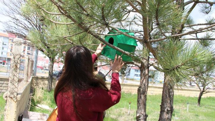 Şarkışla'da kuş ve kediler için yuva etkinliği