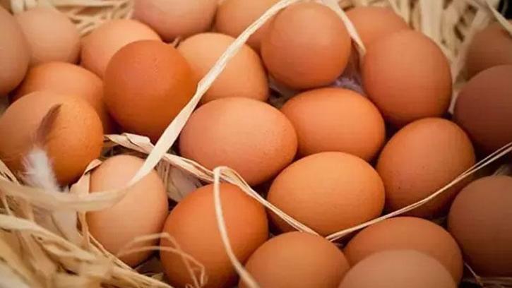 TÜİK: Yumurta ve tavuk eti üretimi arttı, içme sütü üretimi azaldı