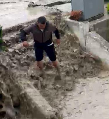 Sel sularına kapılan kediyi boğulmaktan kurtardı