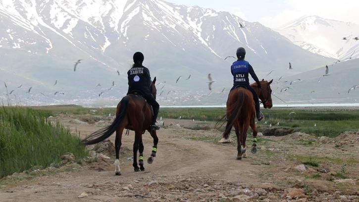 Van'da atlı, araçlı ve dron destekli inci kefali denetimi