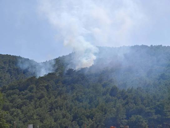 Muğla'da orman yangını