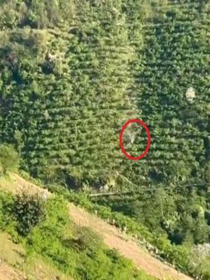 Kamyonetin dik yamaçtan yuvarlandığı kaza kamerada; 2 yaralı