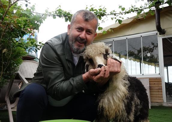 Özenle büyüttüğü kuzusu 'Abbas' yoldaşı oldu