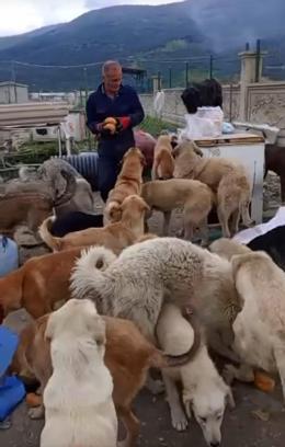Kendini öğrencilere ve patili canlara adadı