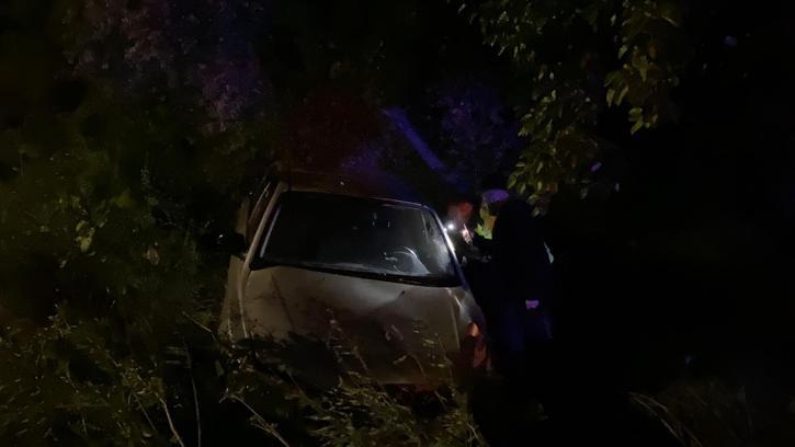Bursa'da otomobil zeytinliğe uçtu: 2'si çocuk 4 yaralı