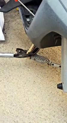 Edirne’de motosiklet kaportasına giren yılan kurtarılıp, doğaya salındı