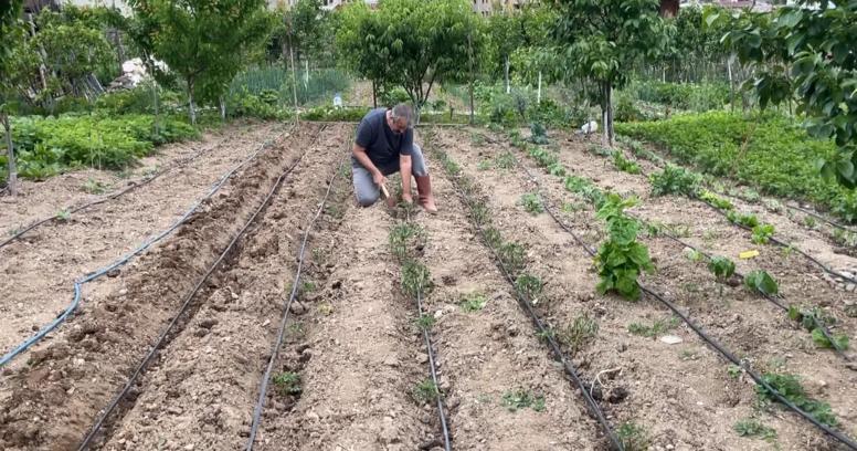 Artvin’de eğitimciler hobi bahçelerini üretim alanına dönüştürdü