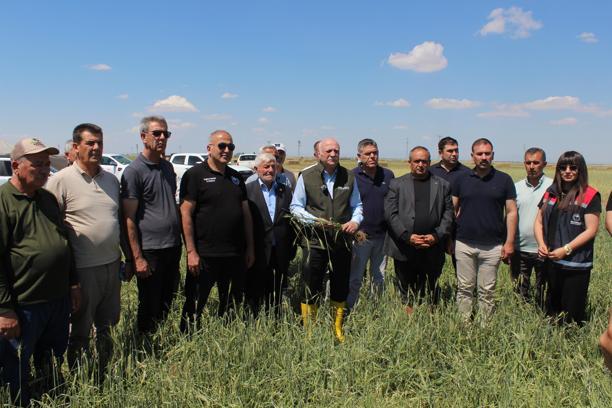 TZOB Genel Başkanı Bayraktar: Buğday rekoltesinin 23 milyon tona yaklaşmasını bekliyoruz