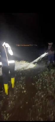 Van Gölü'nde kaçak avlanan 400 kilo inci kefali suya bırakıldı