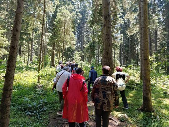 Trabzon’da doğaseverler ‘Orman Banyosu’ etkinliğinde buluştu