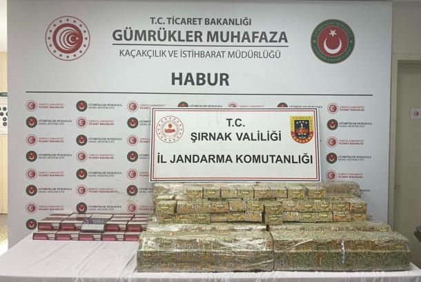 Şırnak'ta kaçakçılık ve narkotik operasyonları: 104 gözaltı