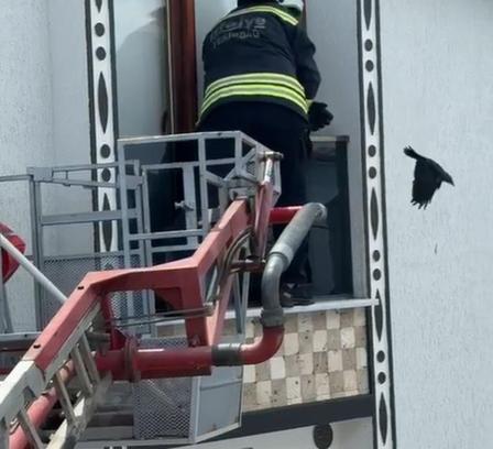 Balkonda sıkışan kargayı itfaiye kurtardı