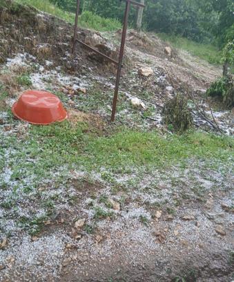 Manisa'da dolu yağışı tarım alanlarına zarar verdi