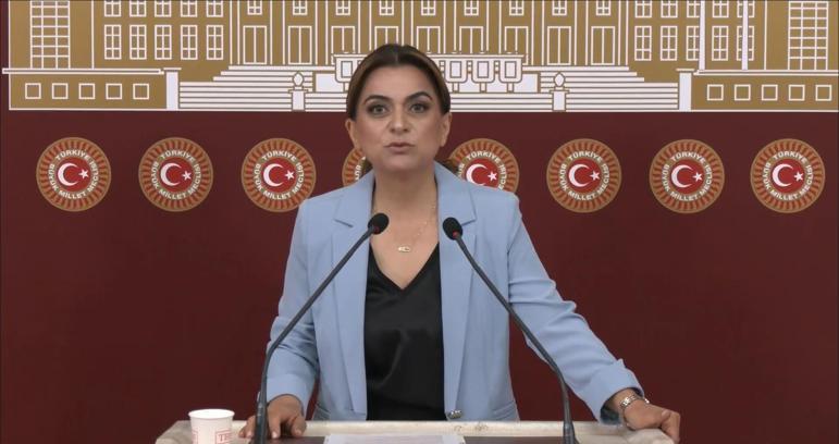 DEM Parti'li Koçyiğit: Barışın hukuksal bir güvenceye ihtiyacı var