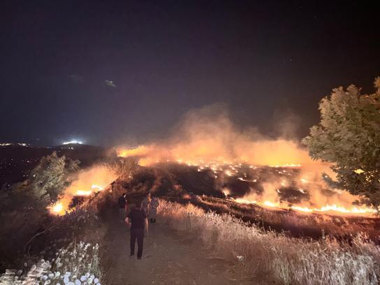 Hatay'da anız yangını, zeytin bahçelerine zarar verdi