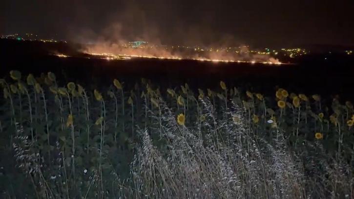 Osmaniye'de anız yangını