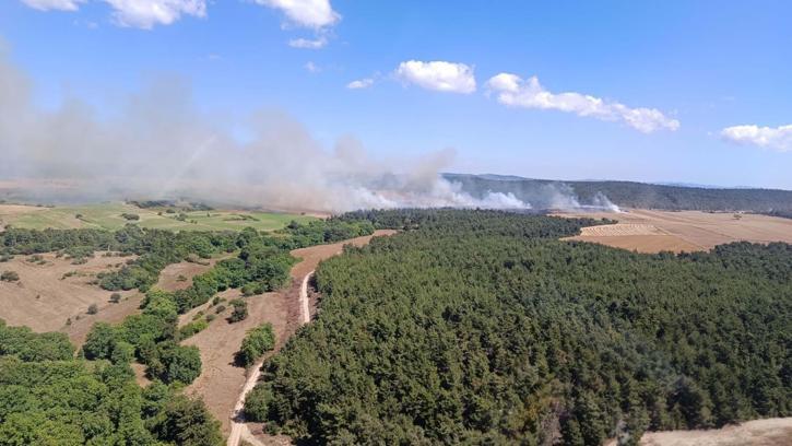 Çanakkale'de orman yangını