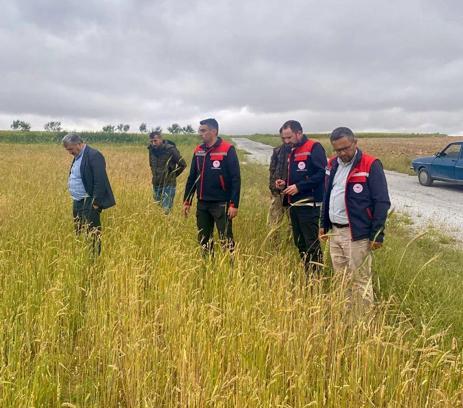 Dolu zararının tespiti için sahada inceleme