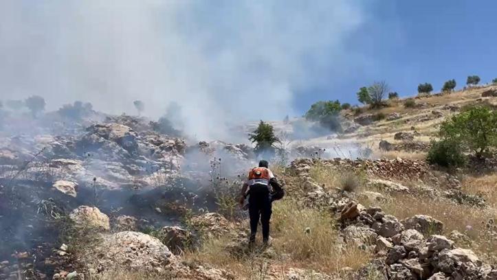 Mardin’de örtü yangını; 50 dönüm alan zarar gördü