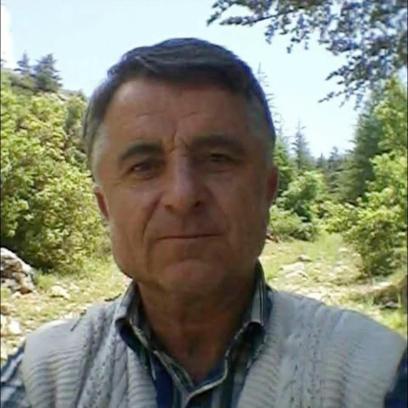 Traktöre bağlayıp sökmek istediği ağaç üzerine devrildi
