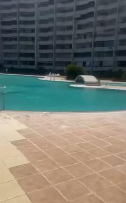 Mersin’de bir kadının haşema ile havuza alınmadığı iddiasına tutuklama