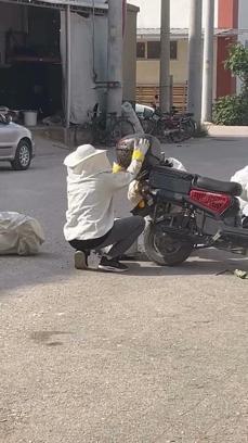Motosiklette toplanan arıları, özel kıyafetiyle kovana topladı