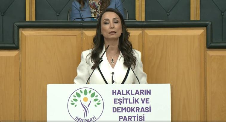 DEM Parti'li Hatimoğulları: Çerçeve yasanın acilen çıkması lazım