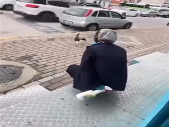 Kedinin yüzüne sprey sıkan market çalışanı beraat etti