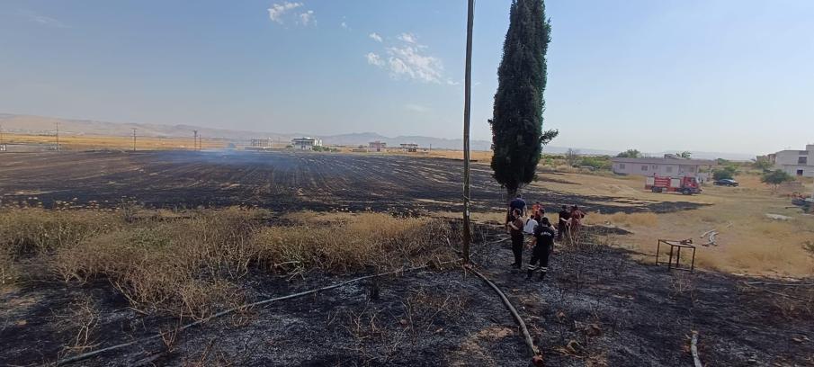 Mardin'de 8 farklı noktada anız ve bahçe yangını